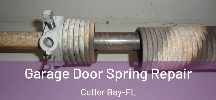  Garage Door Spring Repair Cutler Bay-FL