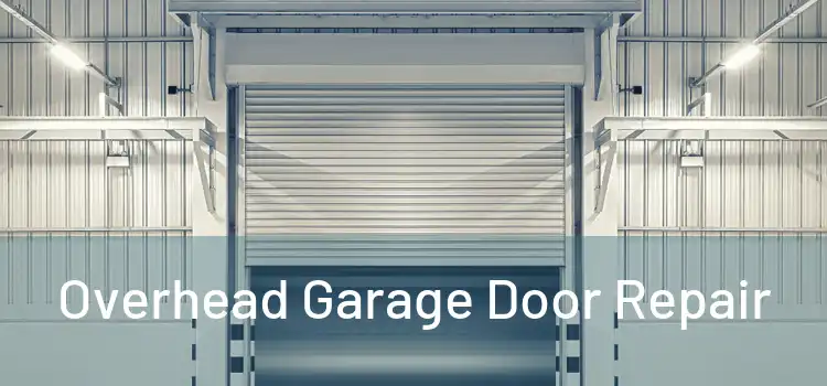  Overhead Garage Door Repair 