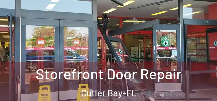  Storefront Door Repair Cutler Bay-FL